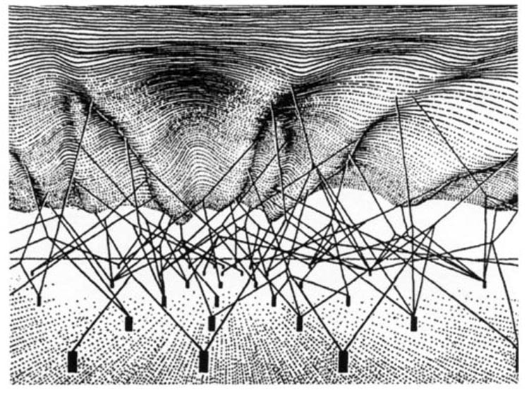 Waddington's epigenetic landscape'